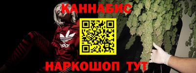 СК Будённовск