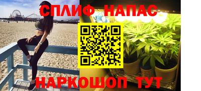 СК Будённовск