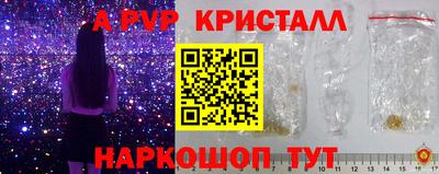 СК Будённовск